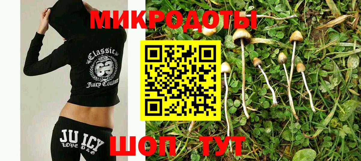 Югорск  купить наркотики сайты  Вход с VPN  Псилоцибиновые грибы MAGIC MUSHROOMS 